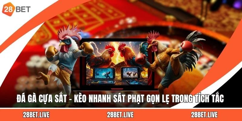 Đá Gà Cựa Sắt – Kèo Nhanh Sát Phạt Gọn Lẹ Trong Tích Tắc