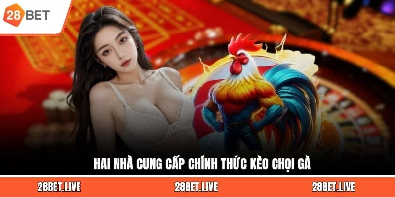 Hai nhà cung cấp chính thức kèo chọi gà