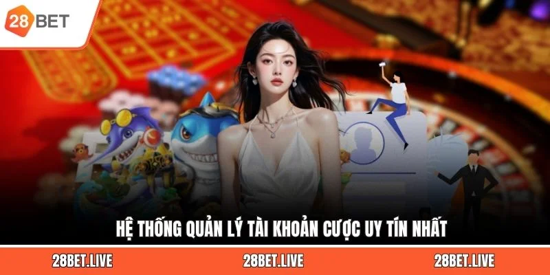 Hệ thống quản lý tài khoản cược uy tín nhất